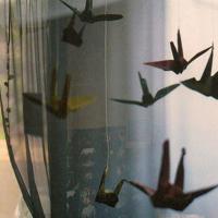 十里春风不如你，流水万丈不及君