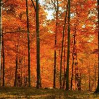 简短幽默的搞笑的句子，搞笑语录