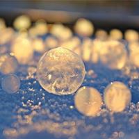 饭碗里的大学课程