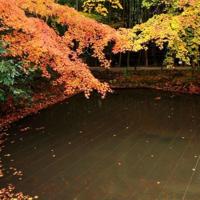 家庭教育名言,关于家庭教育的格言警句