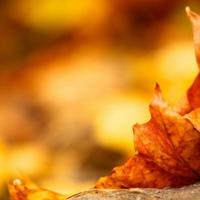 小哲看完哭了，多么好的爱情故事