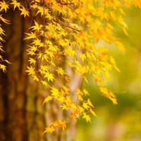 100句超级恶搞的调侃语录_恶搞短语