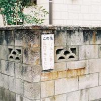 朋友，你们好吗？