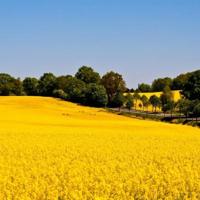 找一个值得死心塌地的人，好好爱。