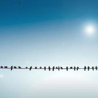 感谢经历让我们成长的生活感悟语录说说大全欣赏