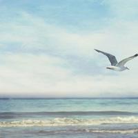 让人生淡而有味