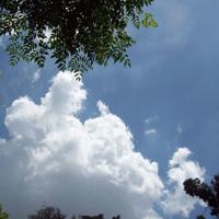 仔仔，生日快乐