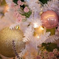 励志意境文字图片