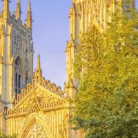 爱情从欺骗开始