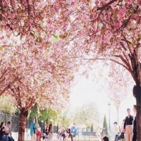 欧美意境美女伤感带字素材_再悲伤也抵不过回忆