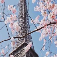 自己选择的路,爬着,也要坚持走完。