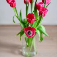 走过春天，走过四季