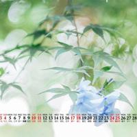 凝眸深处藏温柔