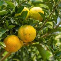 感恩遇见（组诗）