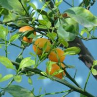 过好当下,就是对生活最好的诠释