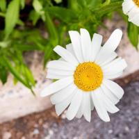 鼓励孩子的话，鼓励孩子的经典语句，鼓励孩子学习的话