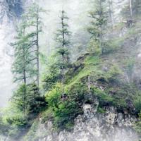 我们都可耻地成熟，变成从前自己讨厌的人了