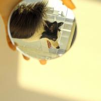 【抒情散文】越女采莲秋水畔