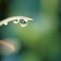 没有女朋友，就去卖玫瑰吧