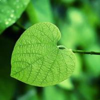 多年以前,那些碎碎念