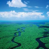 在低处仰望幸福