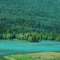 读《繁星春水》有感——世间最珍贵之物