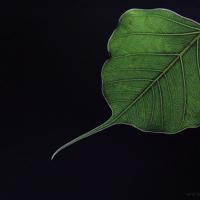 每次只追前一名