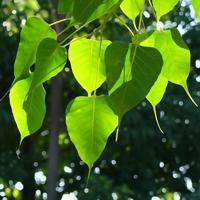 关于父亲母亲的故事