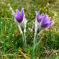 亲爱的，今天是你的生日