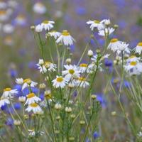 20个让你更快乐的方法