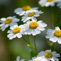 激励人的霸气励志名言短句