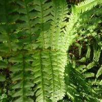 好段摘抄加赏析