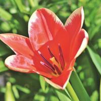 幸福向着家的方向