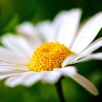 蕴含人生哲理的励志名言名句