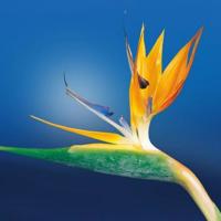 西班牙电影警告经典台词大全