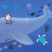 度假村的临窗碎语