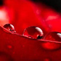 愿时光善待父母的句子情感说说:有父母在就有家