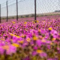 愿青春无悔的说说心情语录:我们已不是那个少年