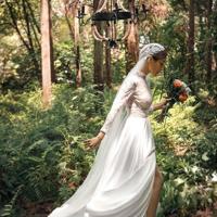 荷是一种脆弱的植物