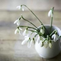 看见死亡的眼睛