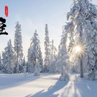 受伤女生意境文字美图_总是会受伤的女生