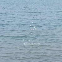 清新静物意境图片_唯美绿色静物