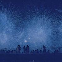 一季花开情随风，一世温柔爱随你