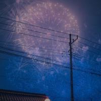 草样年华(原创散文)