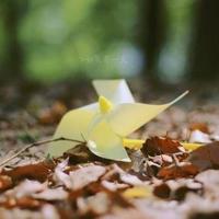 亲爱的人儿,此刻你天涯何处