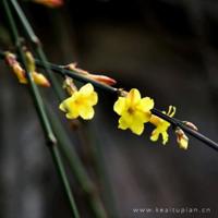 发为谁白，腰为谁弯？