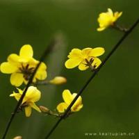 真人情感口述：辜负了老师 我唱了一首残酷的“