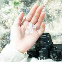 关于环保的名言，关于环保的标语