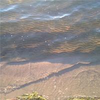 美妇厨房双飞 被按摩的人妻中文字幕