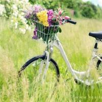 嫁我是你一生的赌注，我怎么忍心让你输